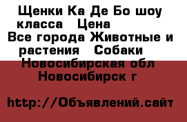 Щенки Ка Де Бо шоу класса › Цена ­ 60 000 - Все города Животные и растения » Собаки   . Новосибирская обл.,Новосибирск г.